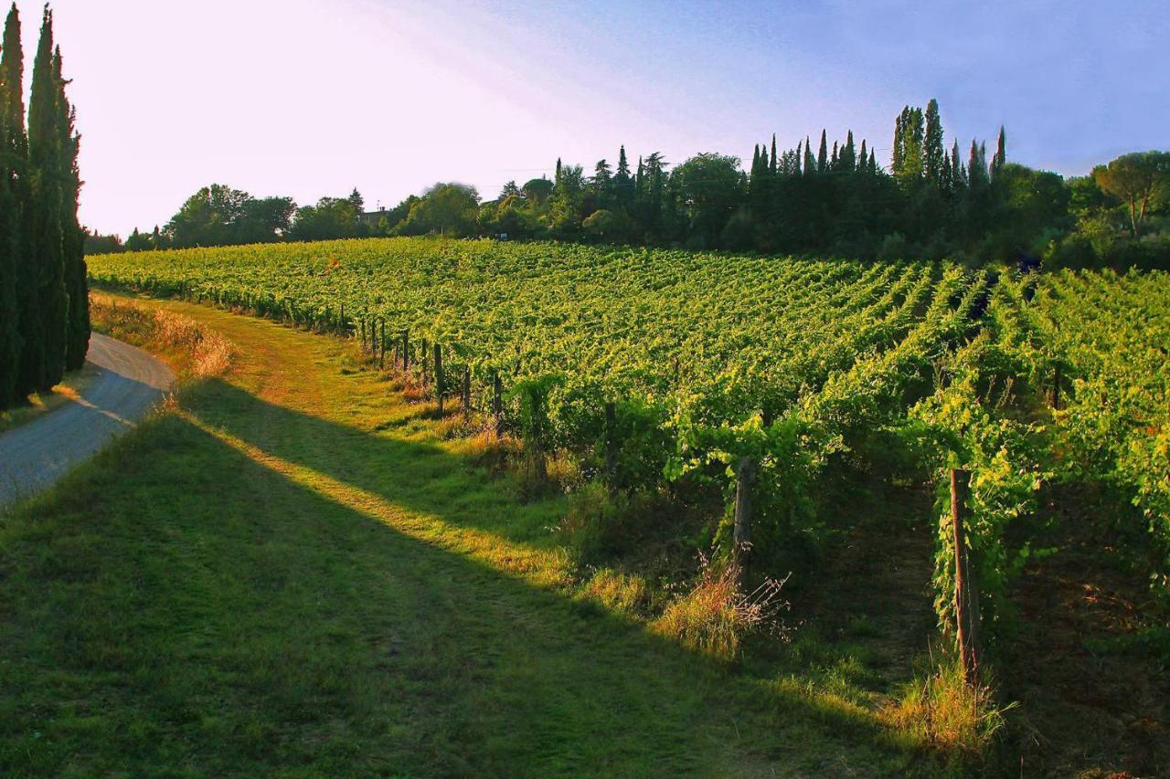 La Striscia Wine Resort Arezzo Exterior foto